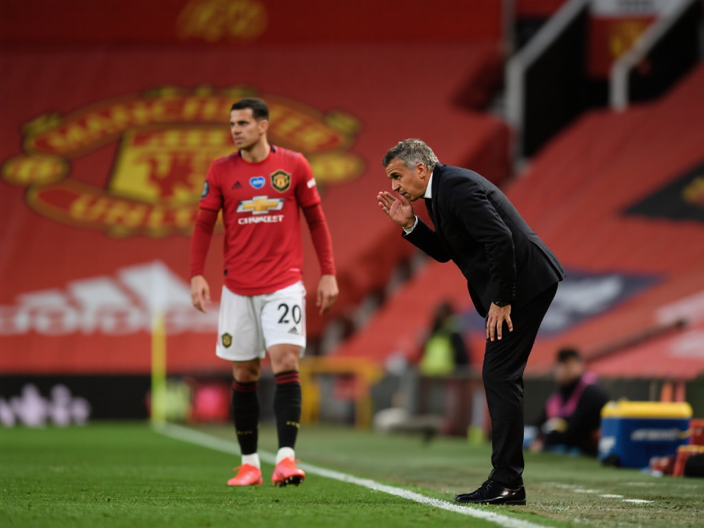 内用户还是 内用户还是